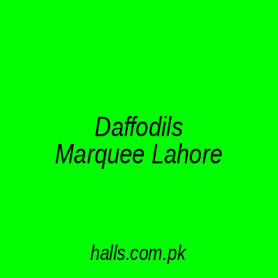 Daffodils Marquee Lahore